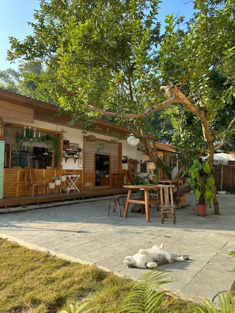 老了，就想有个小院，和你慢慢变老！