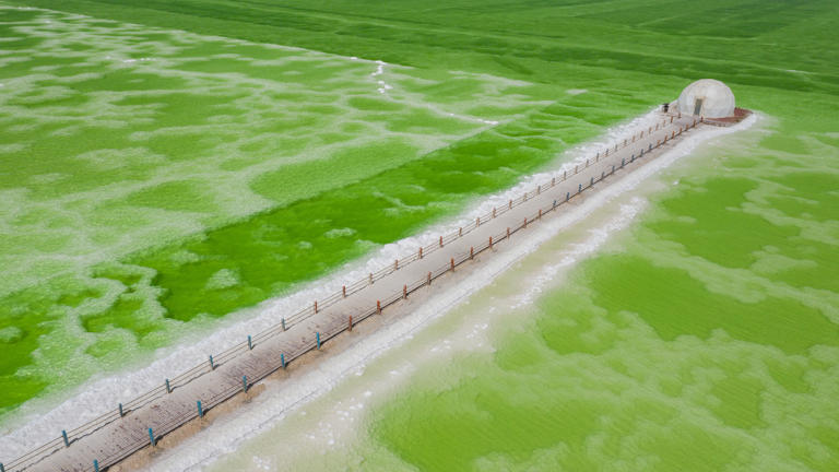 壮阔大西北，值得一去再去！大西北最美的10个地方，让你一次玩尽兴！