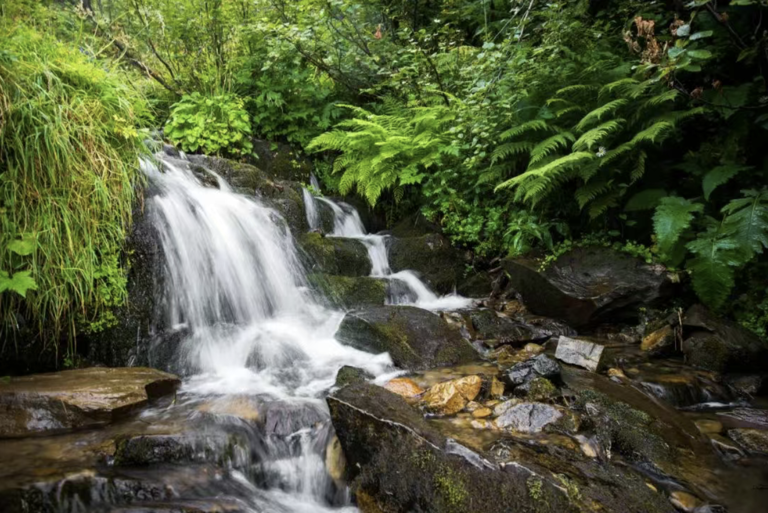 贵阳旅游景点十大排名，爽爽的贵阳最值得去的10个地方，你去过几个？