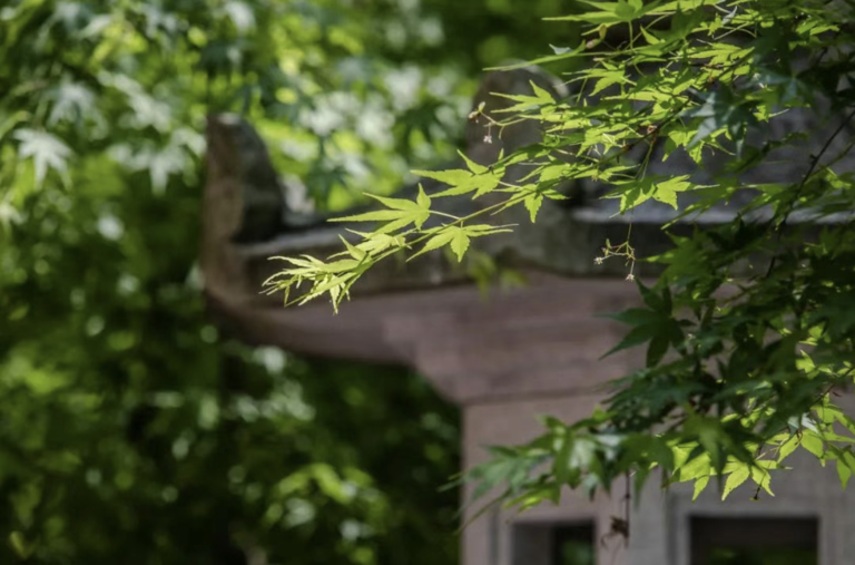 贵阳旅游景点十大排名，爽爽的贵阳最值得去的10个地方，你去过几个？