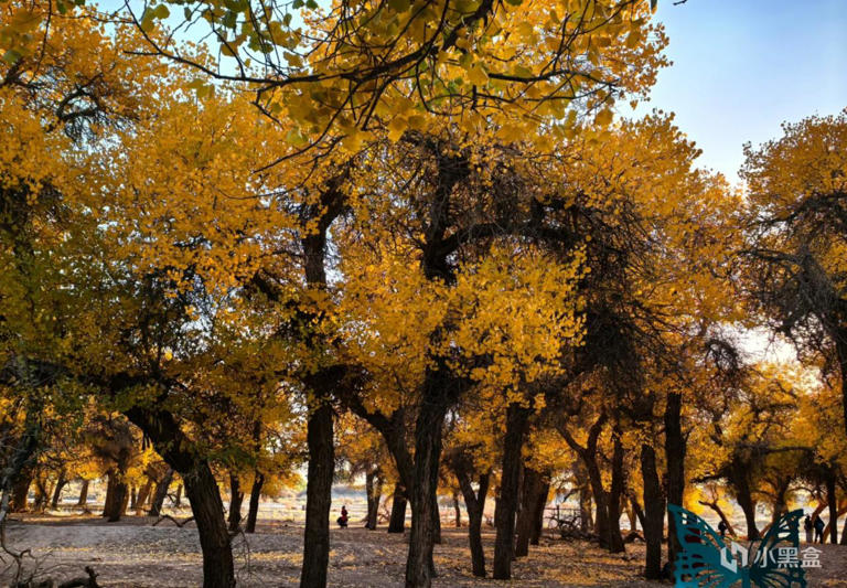 《国家地理》评选中国一生必去的50个地方，看看你还剩几个？