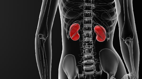  研究发现：最伤肾脏行为，不是憋尿！而是频繁去做这6件事 