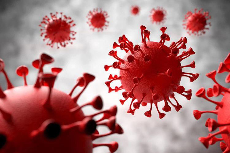 新冠病毒三大结局已成定局，提醒：60岁以上的老年人要特别注意