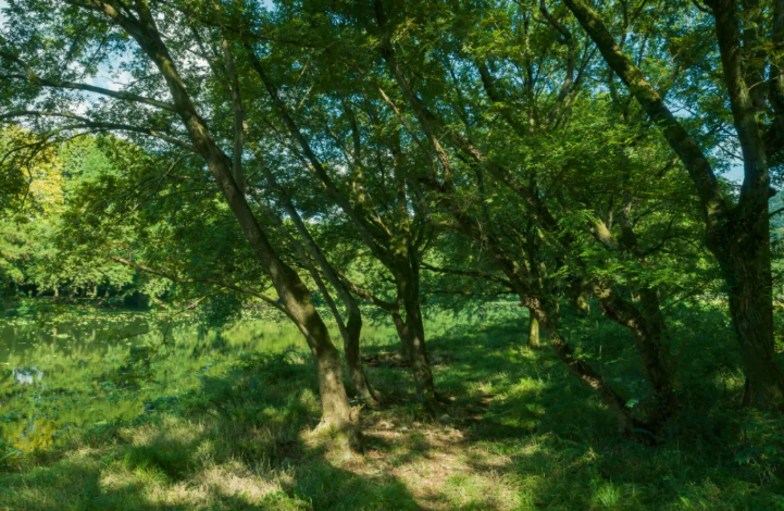 湖北荆门游玩攻略，荆门值得一去的6大好玩景点，看看你去过几个？