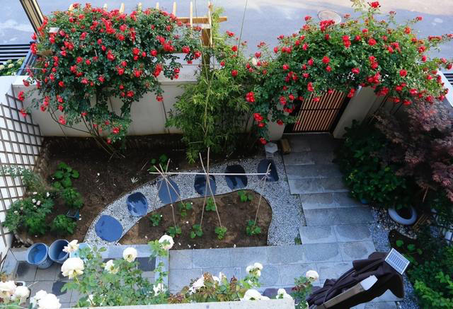 9种“流氓花”种一棵就泛滥难除，好多人后悔种了