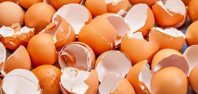 家里养花别再直接浇水了，老花农教我一招，叶绿根壮爆满盆，实用