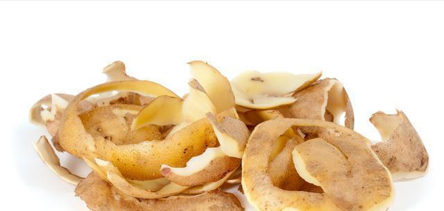 家里养花别再直接浇水了，老花农教我一招，叶绿根壮爆满盆，实用