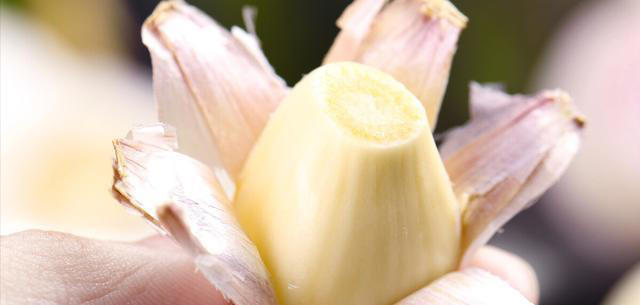 家里养花别再直接浇水了，老花农教我一招，叶绿根壮爆满盆，实用