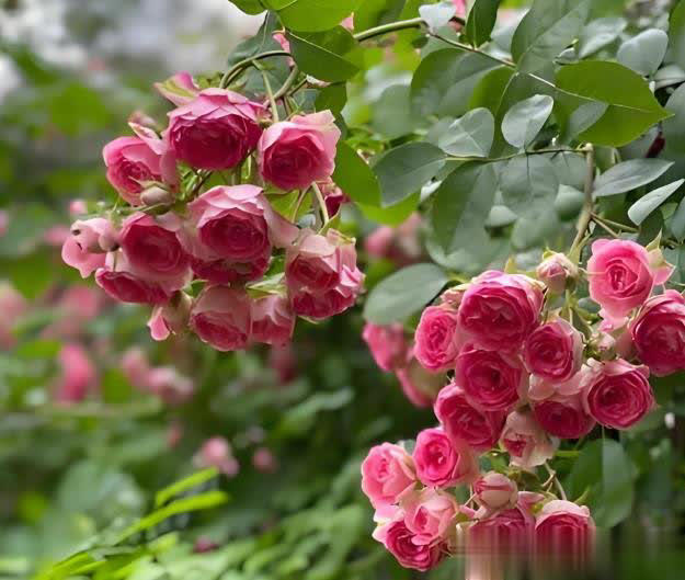 猛长新芽美极了，新手小白也能轻松驾驭！