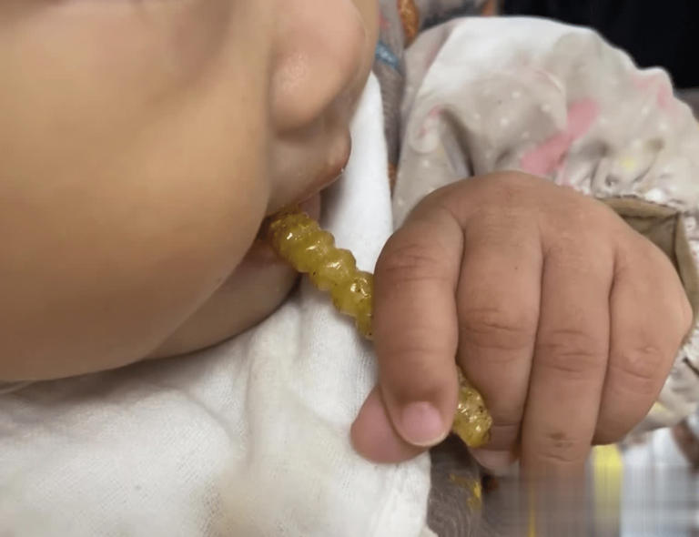 4种带刺植物人绕道走，实则价值珍贵，早了解不吃亏！