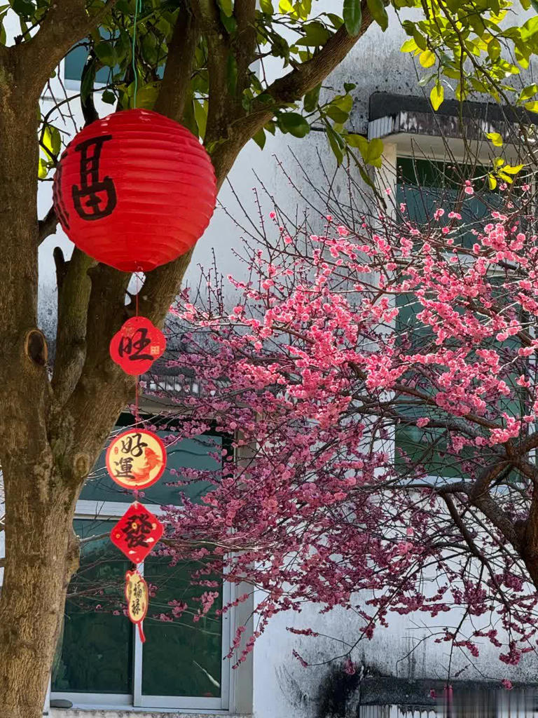 我想有个院子，静看花开花落、云卷云舒！