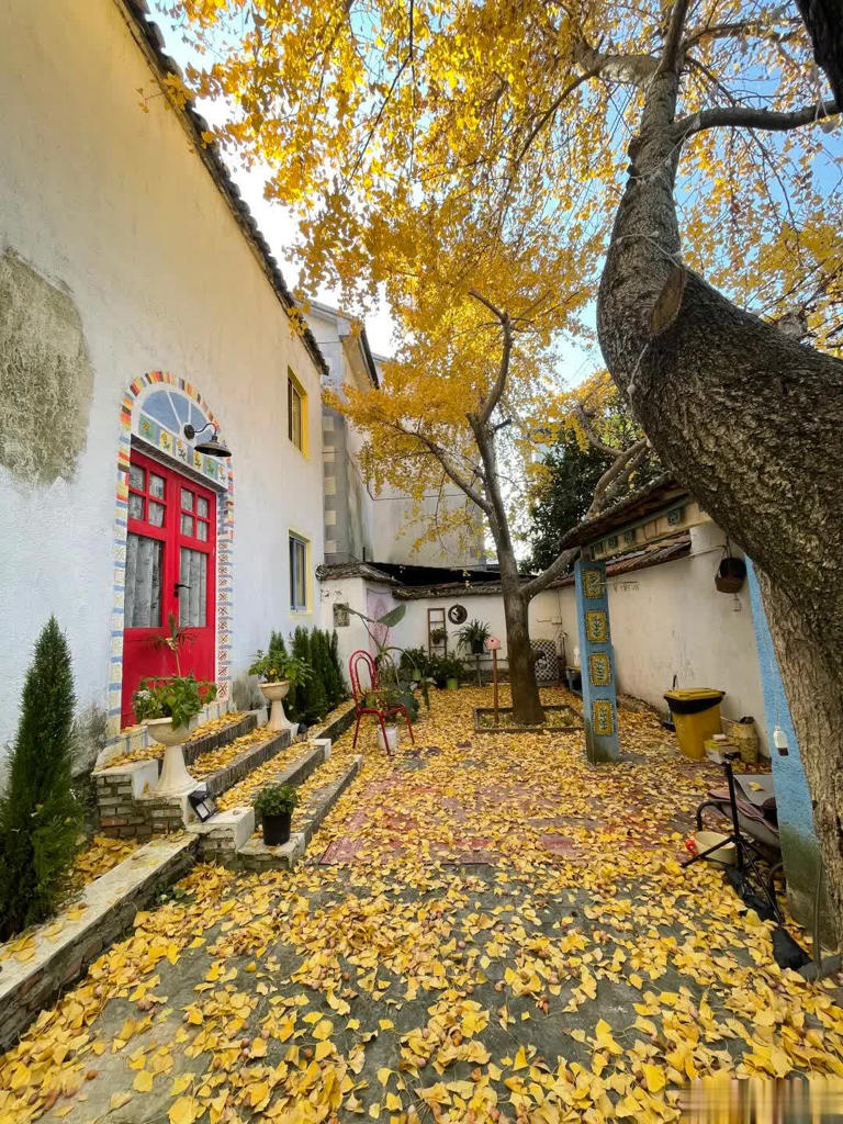 我想有个院子，静看花开花落、云卷云舒！