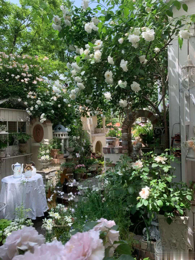 我想有个院子，静看花开花落、云卷云舒！