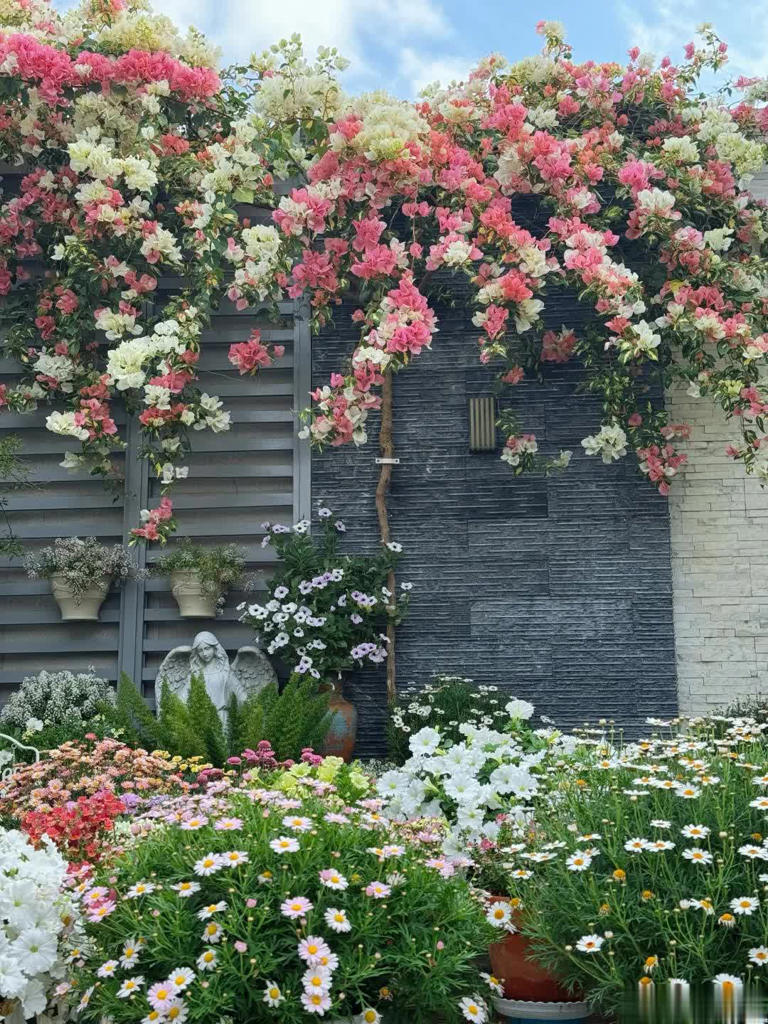 我想有个院子，静看花开花落、云卷云舒！