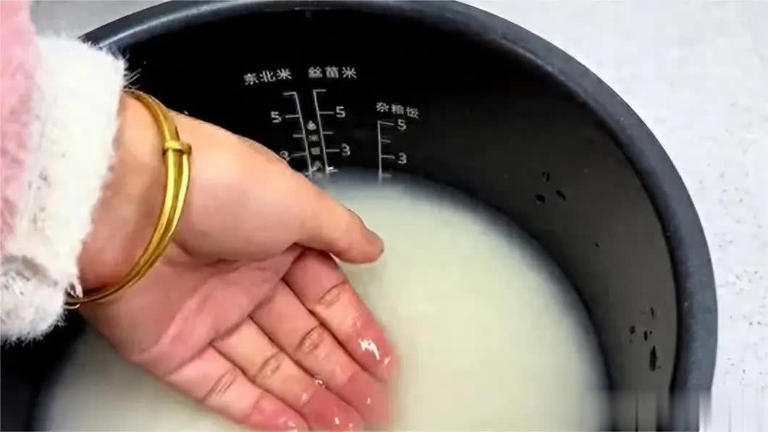 才知道电饭锅刻度线这么用，怪不得以前饭不好吃 