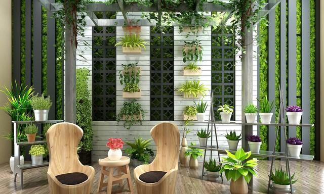 养花18年，建议你养这5种绿植，室内“不晒太阳”也长得很漂亮