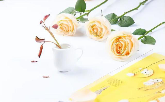 当儿女不尊重你时，不要讲道理，不要发脾气，记住2句话就赢了