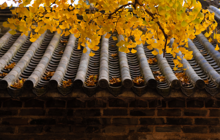  人生有三把钥匙：接受、改变、离开 