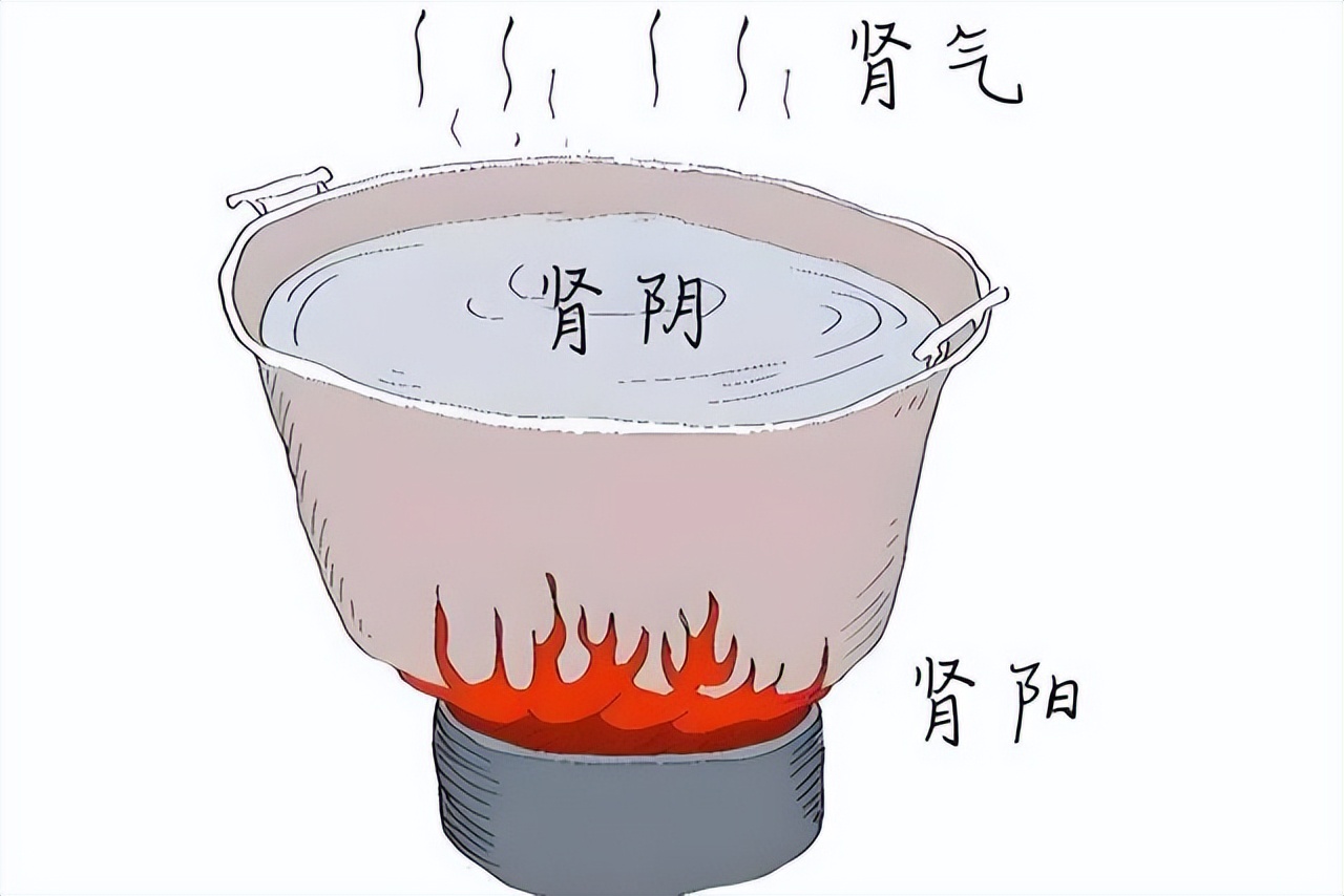 夜尿多是肾阳虚?明代古方温阳锁尿,夜起4次变1次!