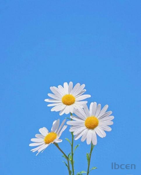 对付不尊重你的人，用不着翻脸，记住这5点，就能让对方彻底吃瘪