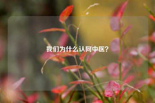 我们为什么认同中医？