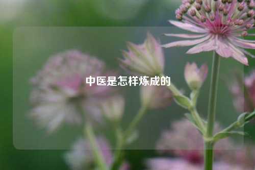 中医是怎样炼成的