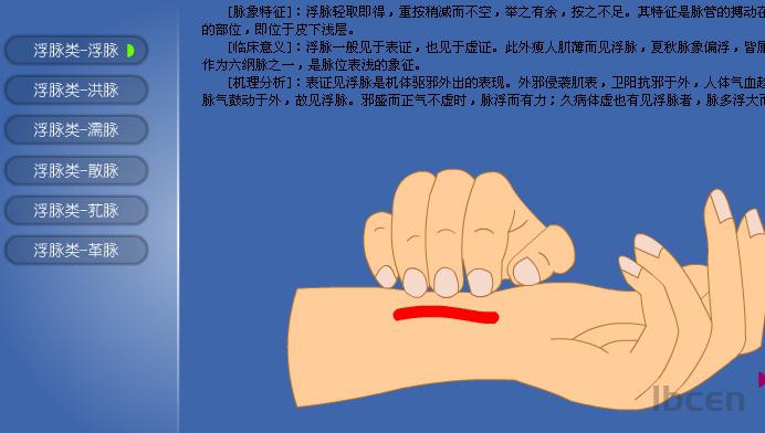 中医脉诊入门教程