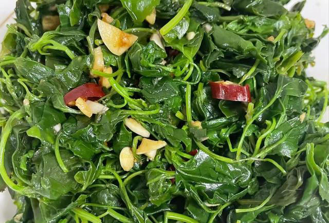 春天吃菜别花钱，这8种野菜遍地都有，营养美味，错过又得等一年