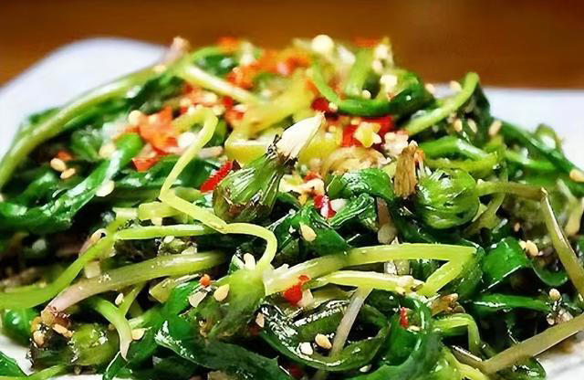 春天吃菜别花钱，这8种野菜遍地都有，营养美味，错过又得等一年