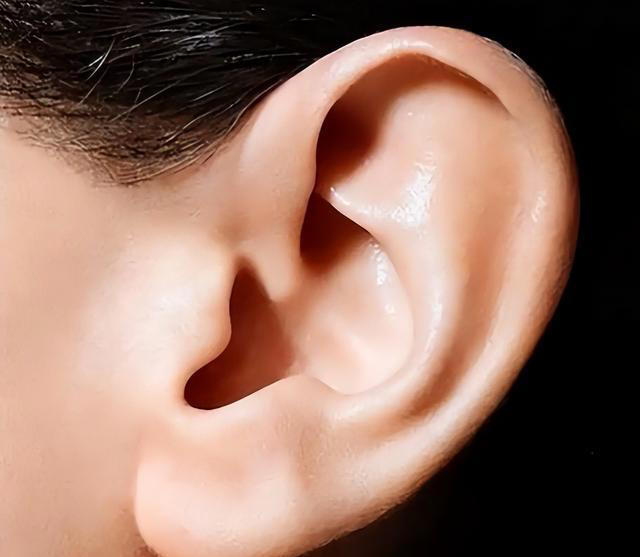 长不长寿，看耳朵就知道？医生提醒：耳朵这2个表现一定多注意！