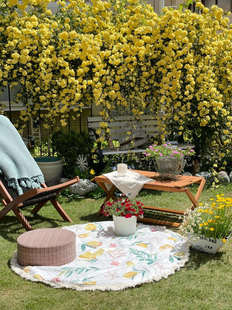 有院子的人，心里都住着一个闲人！