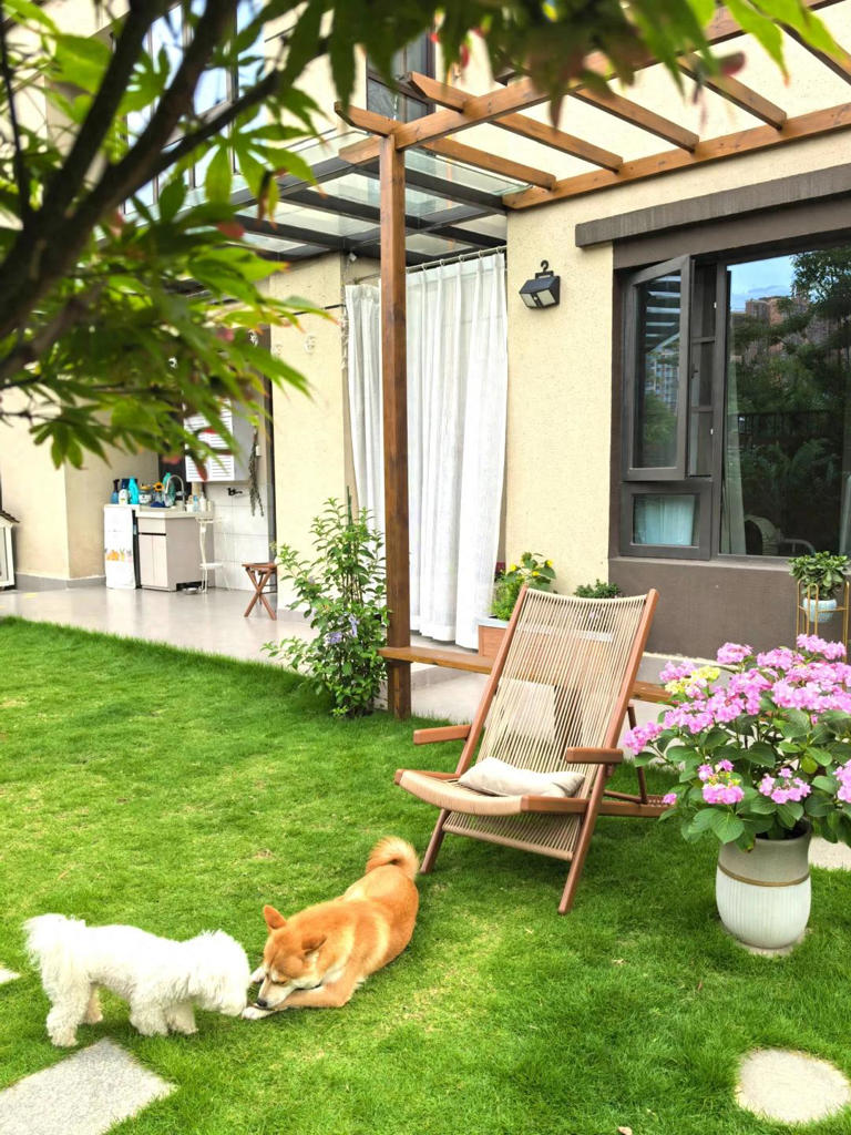 有院子的人，心里都住着一个闲人！