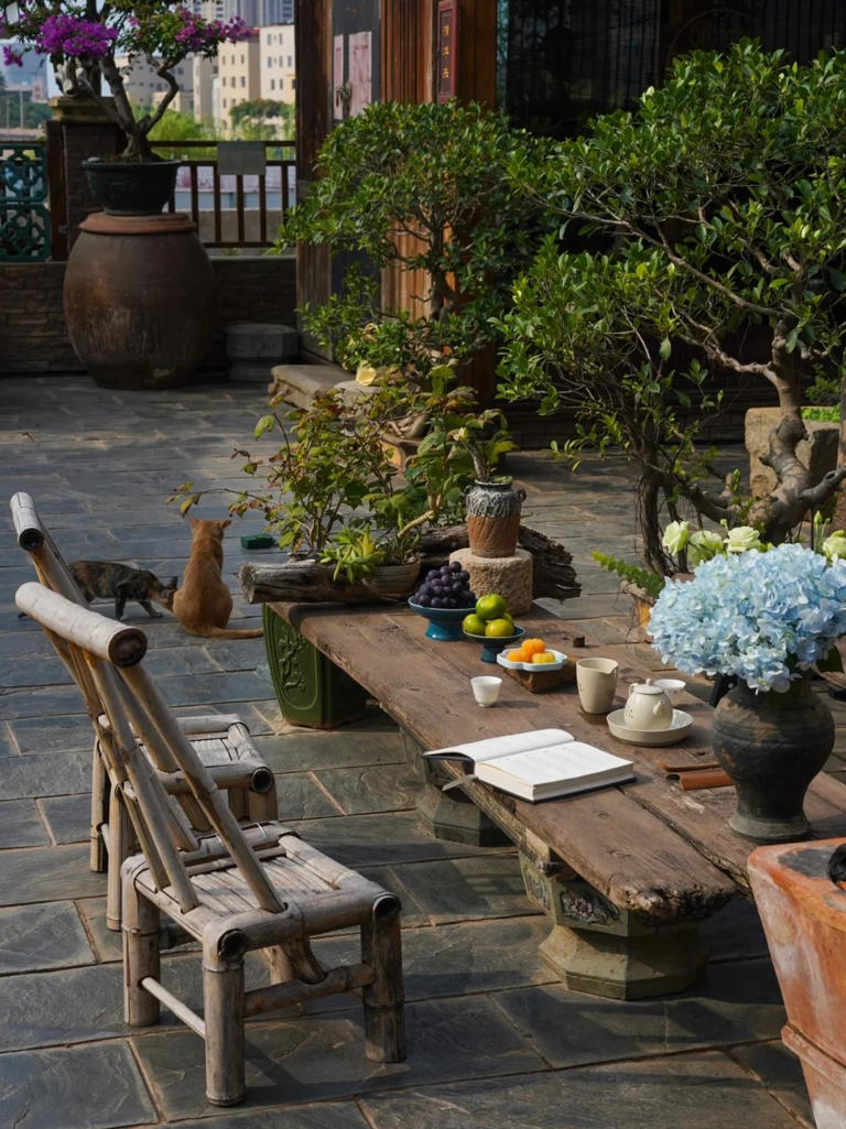 有院子的人，心里都住着一个闲人！