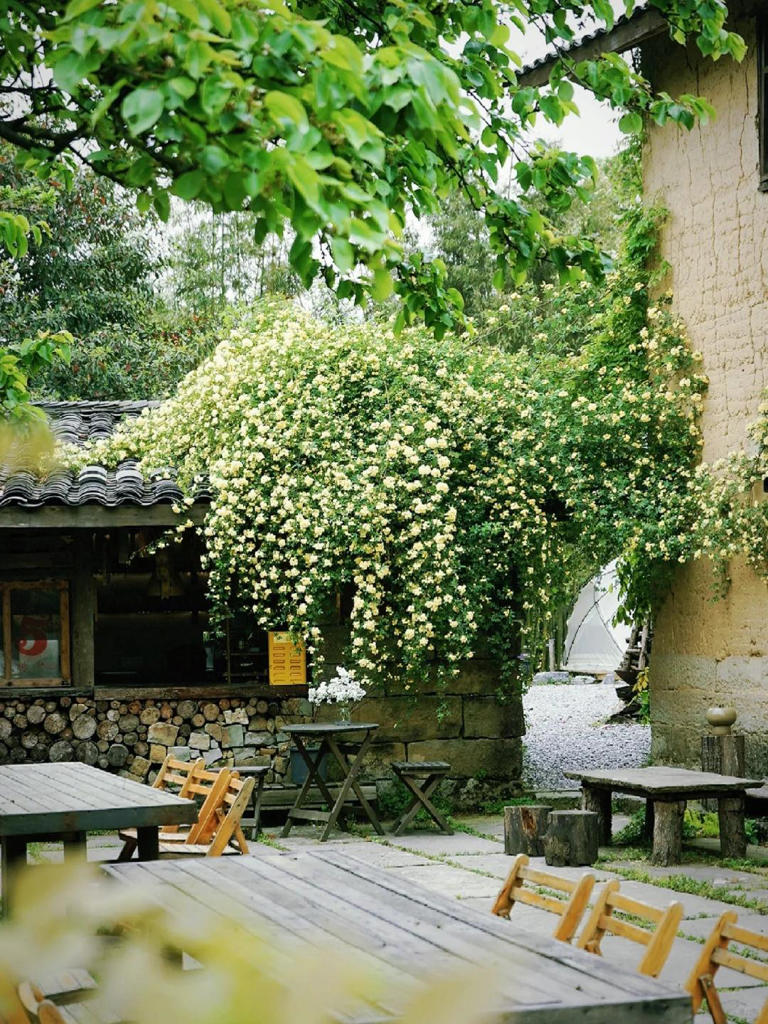 年纪大了，寻一小院，与生活和解