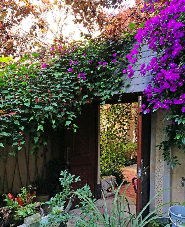 年纪大了，寻一小院，与生活和解