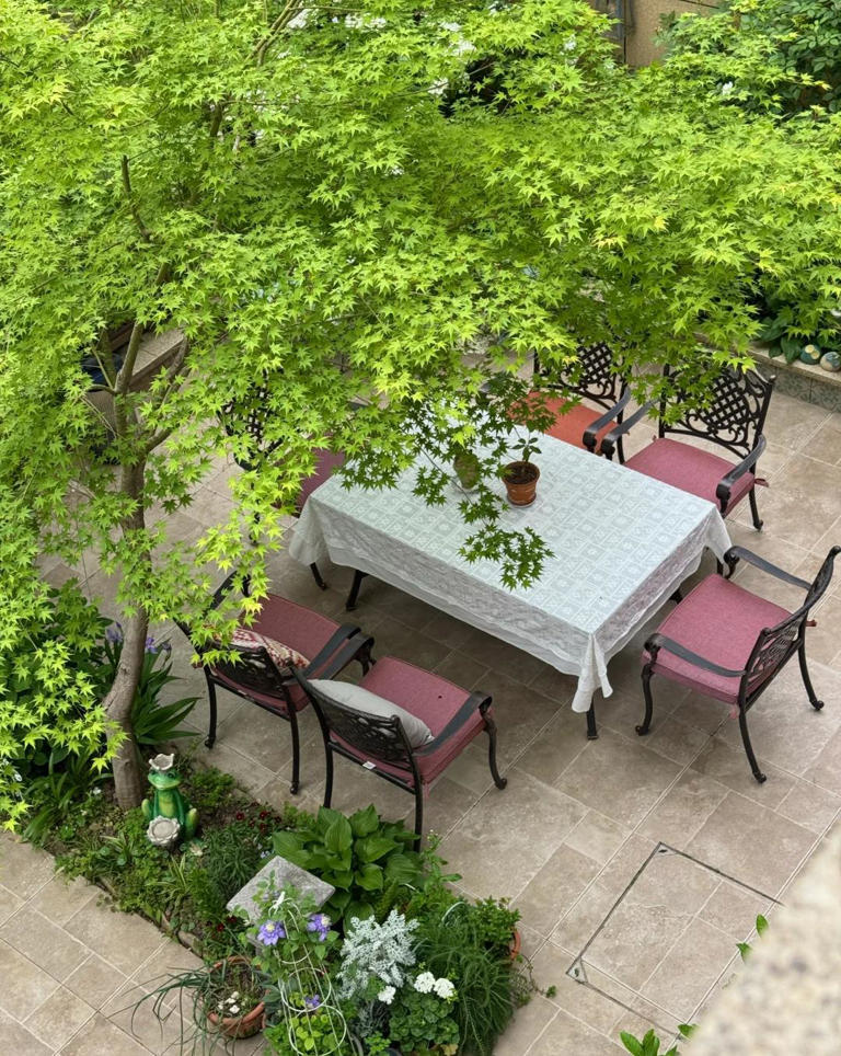 年纪大了，寻一小院，与生活和解