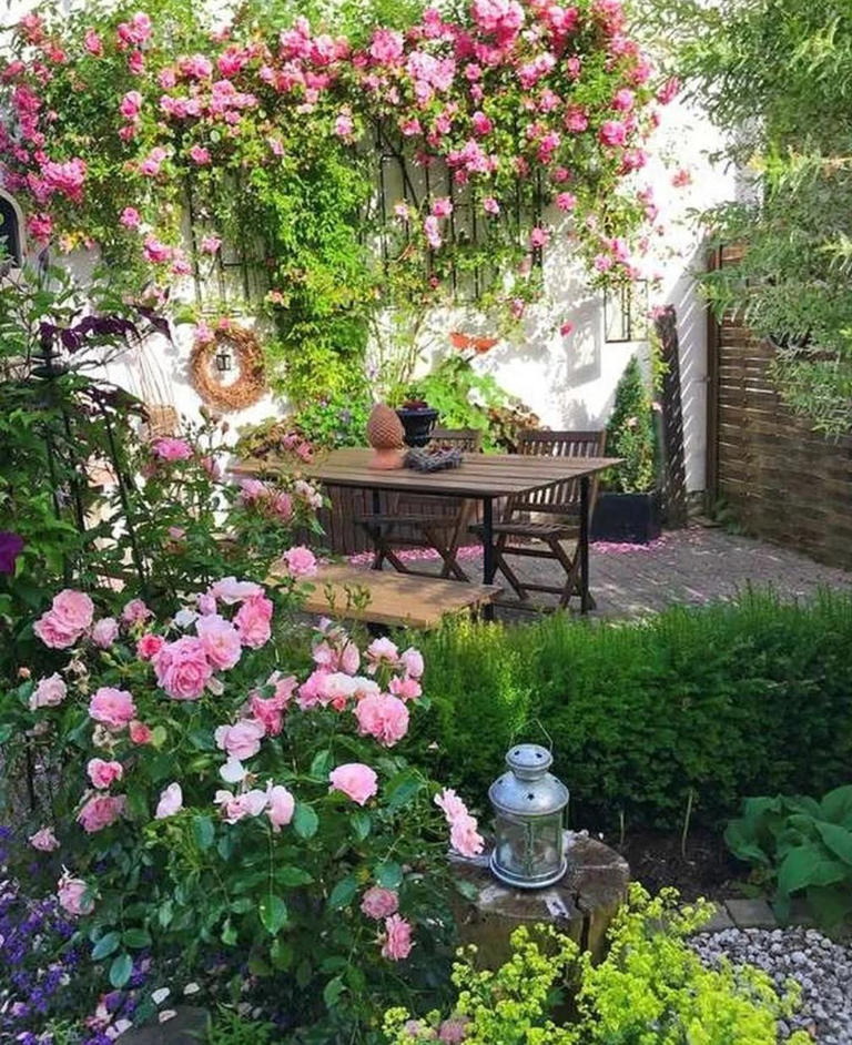 院子再小，也是老年天堂！