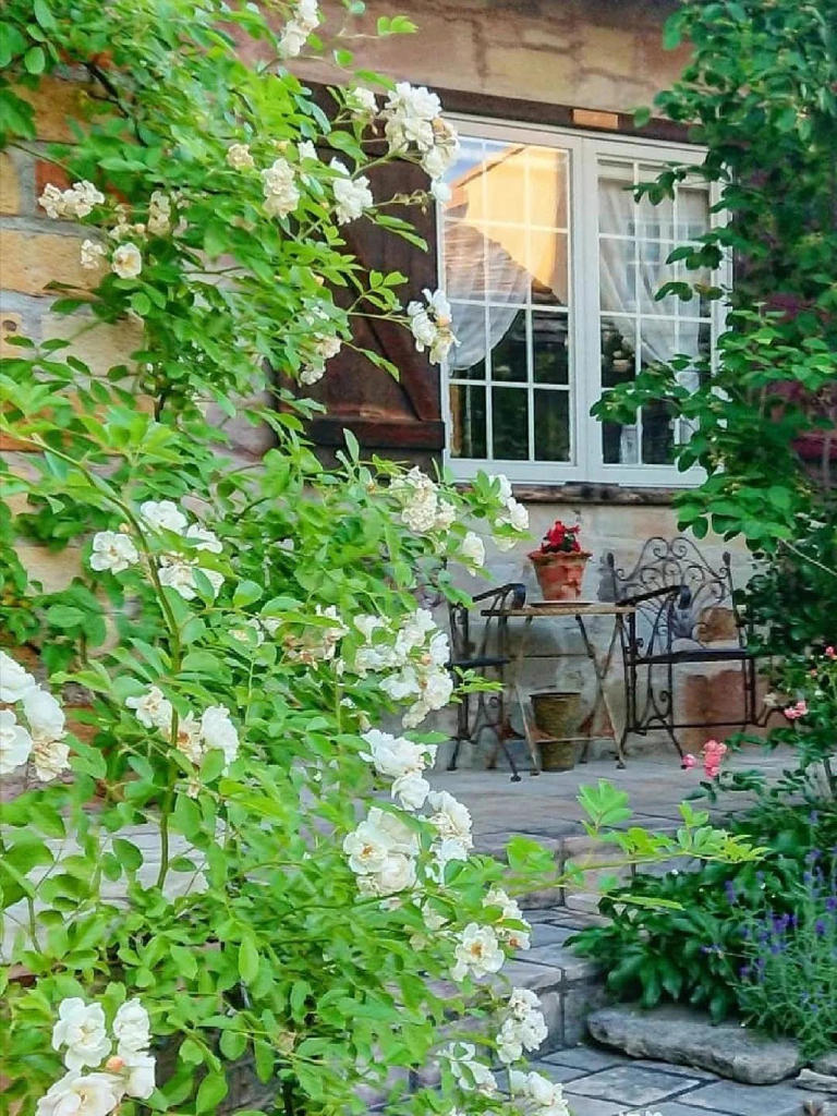 院子再小，也是老年天堂！