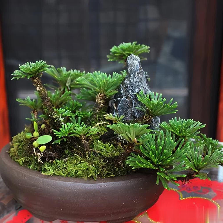 农村常见6种小野花，皮实好养颜值高，养成盆景超上档次