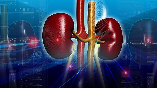 医生告诫：能加重肾病的行为，不是熬夜!而是频繁的去做这些事