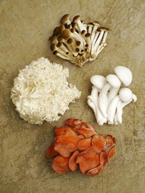 建议：吃菌菇别买这4种，全是“科技与狠活”！ 