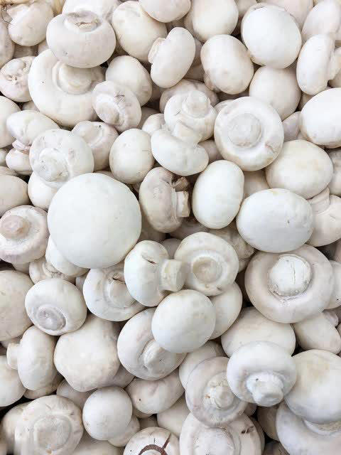 建议：吃菌菇别买这4种，全是“科技与狠活”！