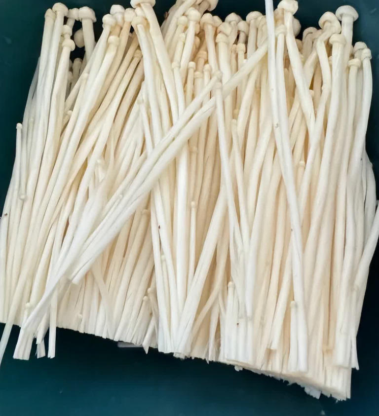 建议：吃菌菇别买这4种，全是“科技与狠活”！