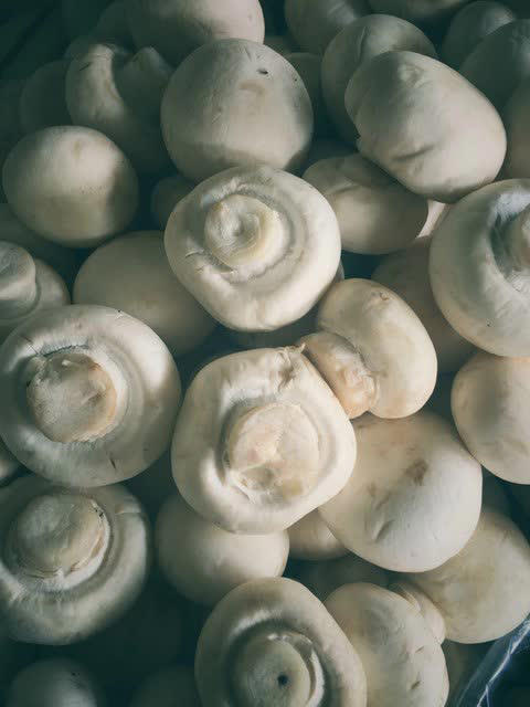 建议：吃菌菇别买这4种，全是“科技与狠活”！