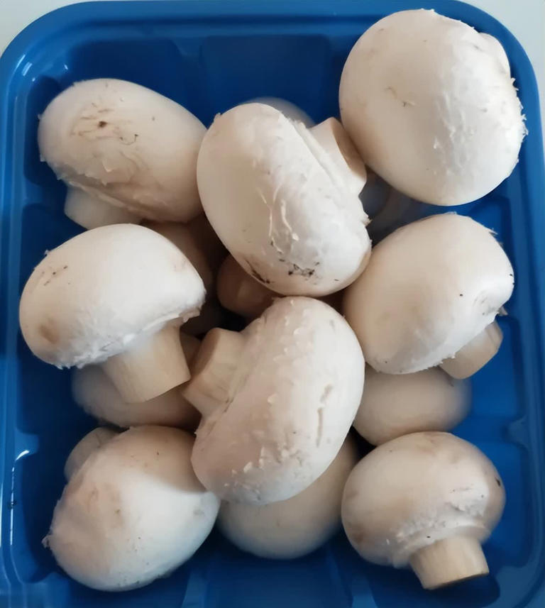 建议：吃菌菇别买这4种，全是“科技与狠活”！
