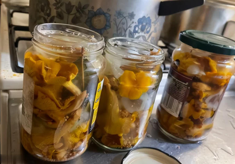 建议：吃菌菇别买这4种，全是“科技与狠活”！