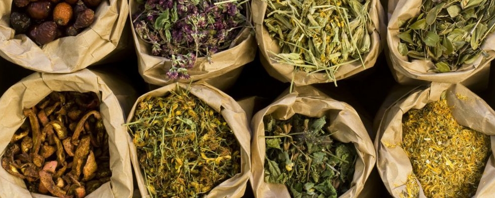 幼儿脾胃虚弱？试试温和的排骨汤！