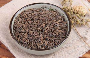 牛蒡子治头痛有良效