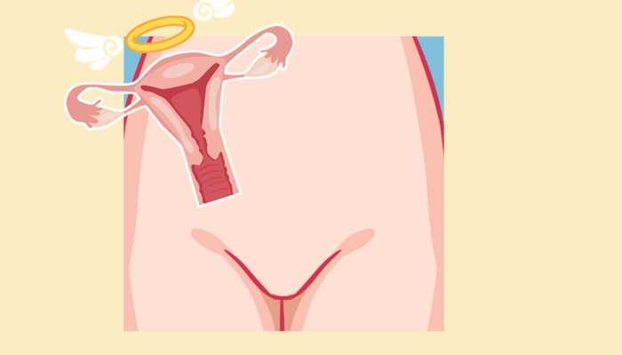 子宫全面检查有哪些