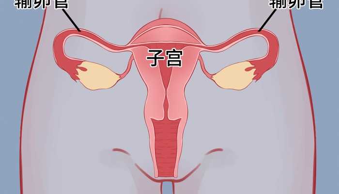 子宫内膜增厚不来月经怎么回事